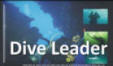 dive_leader